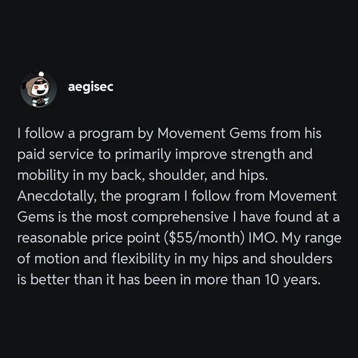 Testimonial screenshot from aegisec on Reddit