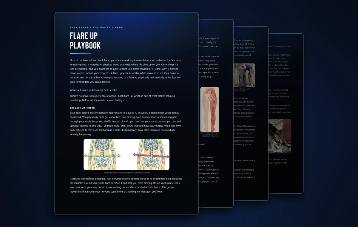 The 4 page Flare Up Playbook chapter from the 6 Week Back Reset Protocol eBook